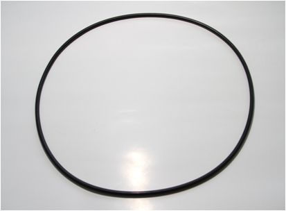 CORTECO 19019093 Sealing ring, wheel hub (planetary gearbox)