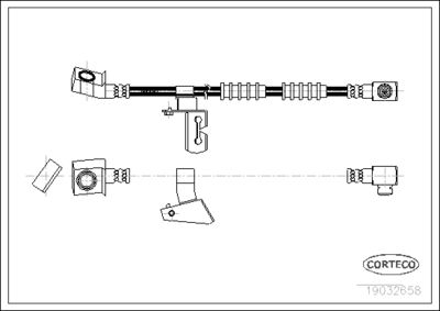 Brake Hose CORTECO 19032658