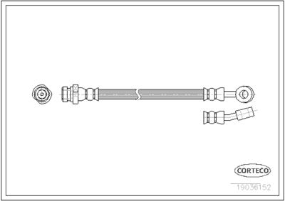 Brake Hose CORTECO 19036152