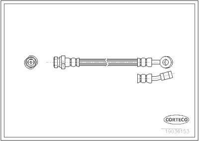 Brake Hose CORTECO 19036153
