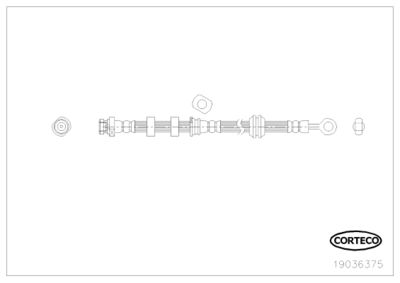Brake Hose CORTECO 19036375