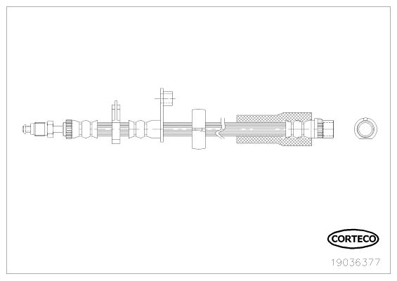 CORTECO 19036377 Brake Hose