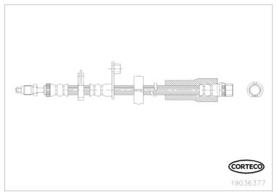 Brake Hose CORTECO 19036377