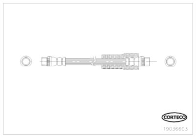 Brake Hose CORTECO 19036603