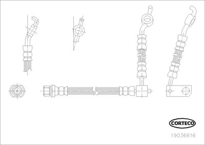 Brake Hose CORTECO 19036616