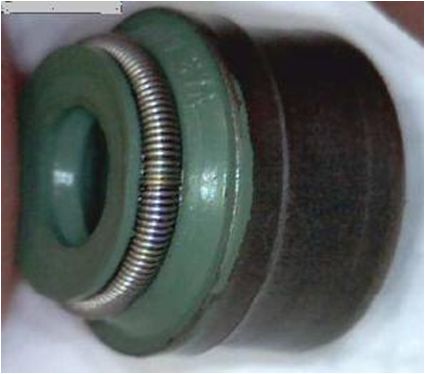CORTECO 19036762 Seal Ring, valve stem