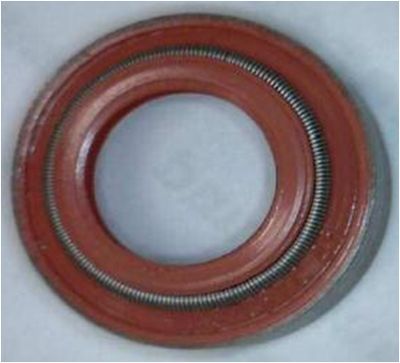 Seal Ring, valve stem CORTECO 19036763