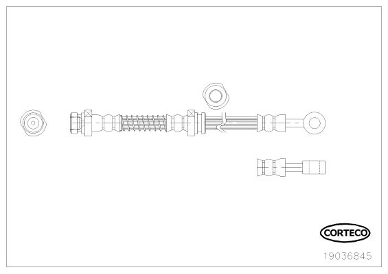 CORTECO 19036845 Brake Hose