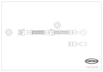 Brake Hose CORTECO 19036845