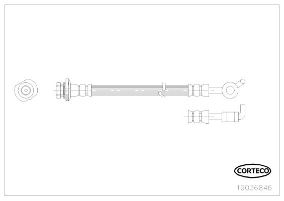CORTECO 19036846 Brake Hose