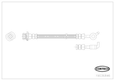 Brake Hose CORTECO 19036846