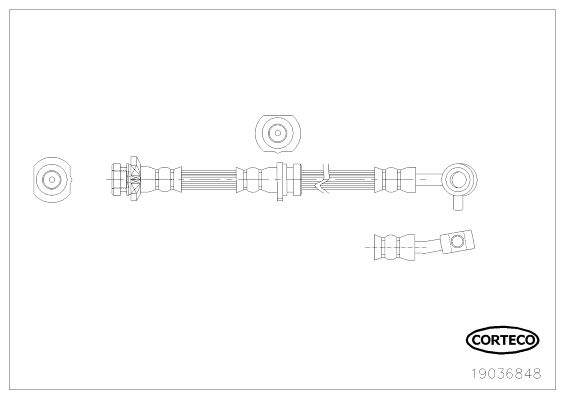 CORTECO 19036848 Brake Hose