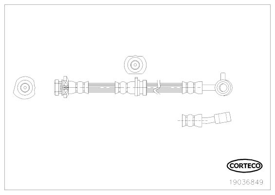 CORTECO 19036849 Brake Hose