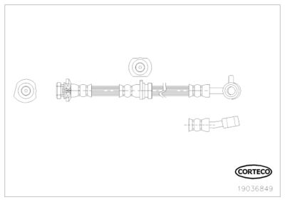 Brake Hose CORTECO 19036849