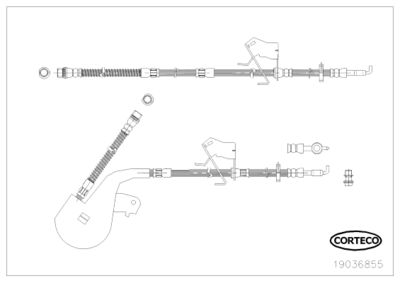 Brake Hose CORTECO 19036855