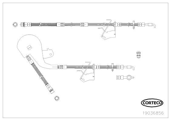 CORTECO 19036856 Brake Hose
