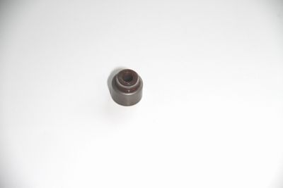 Seal Ring, valve stem CORTECO 19036939