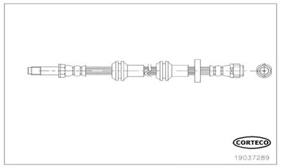 Brake Hose CORTECO 19037289