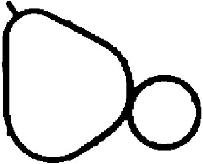 Gasket, intake manifold CORTECO 450263P
