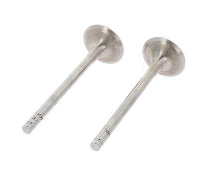 Exhaust Valve CORTECO 550889B