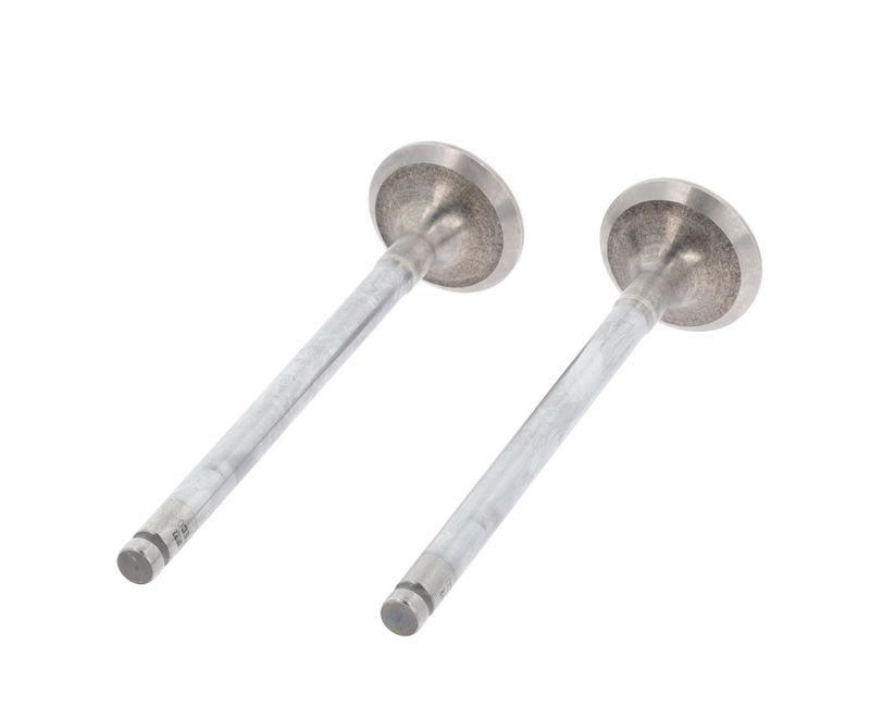 CORTECO 551148B Exhaust Valve