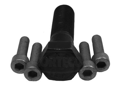 CORTECO 80001246 Bolt Set, crankshaft pulley
