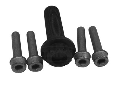 CORTECO 80001259 Bolt Set, crankshaft pulley