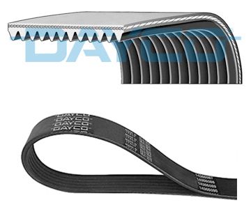 V-Ribbed Belt DAYCO 12PK1300HD