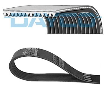 DAYCO 14PK1306HD V-ribbed Belt