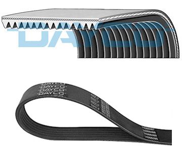 DAYCO 15PK954HD V-Ribbed Belt