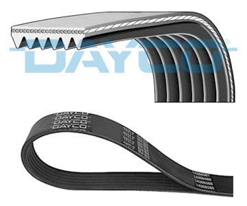 DAYCO 6PK1510 V-Ribbed Belt