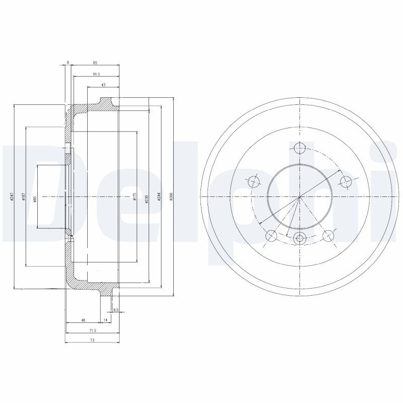 DELPHI BF168 Brake Drum