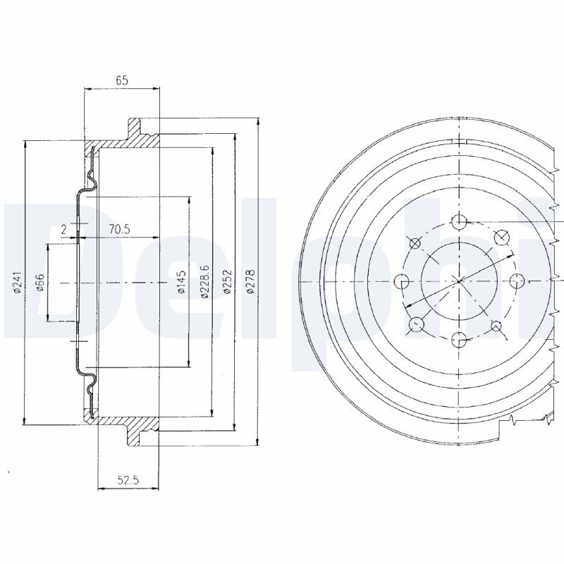 DELPHI BF273 Brake Drum
