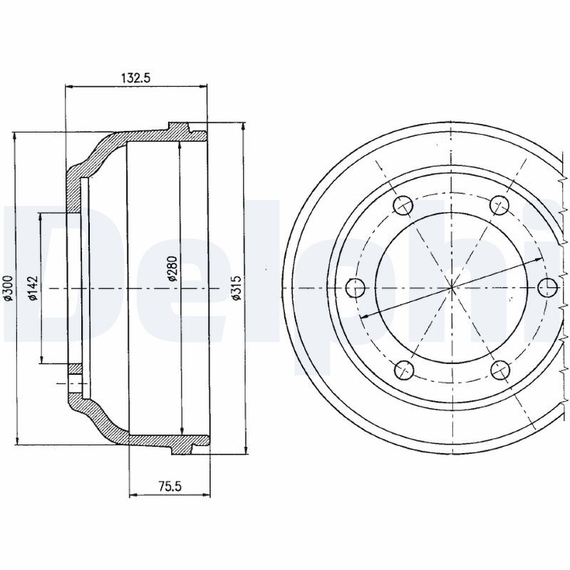 DELPHI BF317 Brake Drum