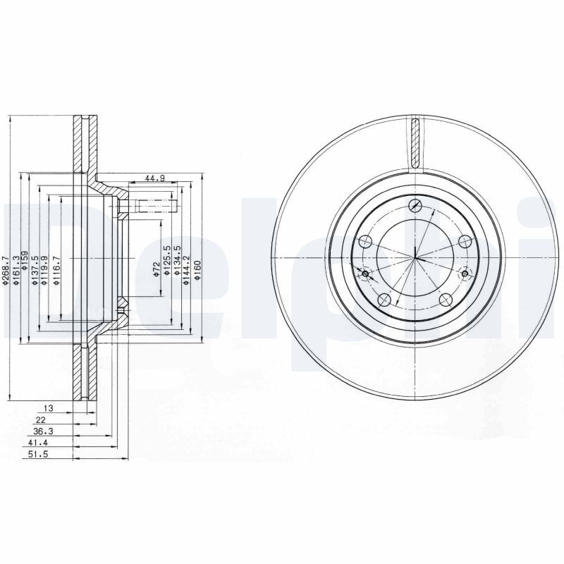 DELPHI BG2199 Brake Disc