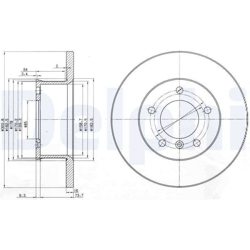 DELPHI BG2556 Brake Disc