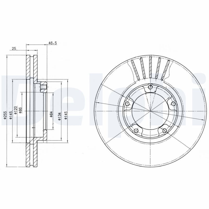 DELPHI BG3174 Brake Disc