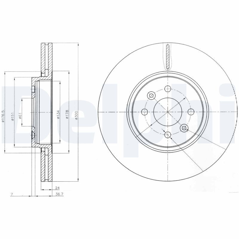 DELPHI BG3929 Brake Disc