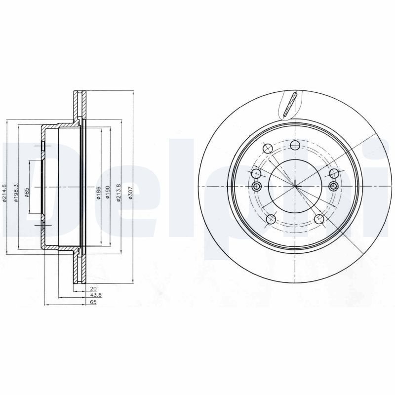 DELPHI BG4273 Brake Disc