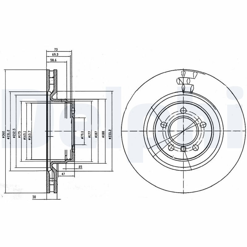 DELPHI BG9009C Brake Disc