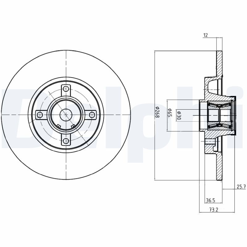 DELPHI BG9053RS Brake Disc