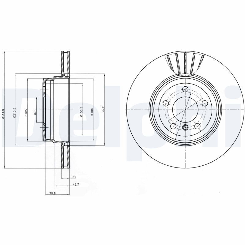 DELPHI BG9064 Brake Disc