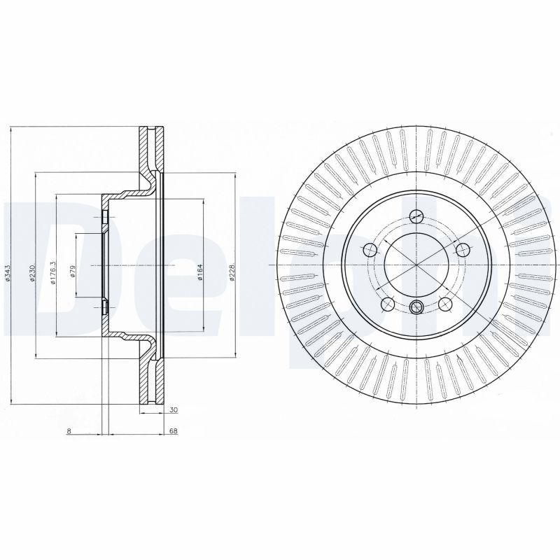 DELPHI BG9081 Brake Disc