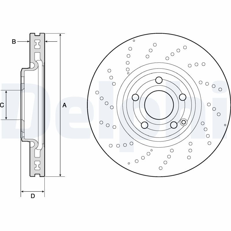 DELPHI BG9189C Brake Disc