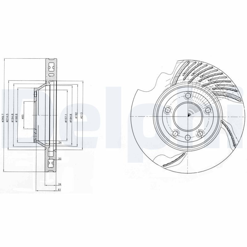DELPHI BG9950 Brake Disc