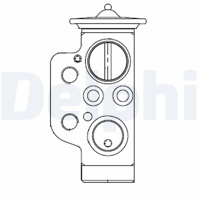 DELPHI CB1009V Expansion Valve, air conditioning