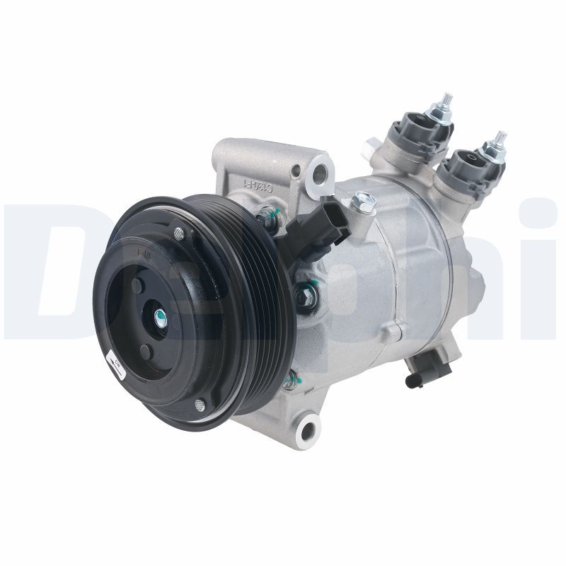 DELPHI CS20660 Compressor, air conditioning