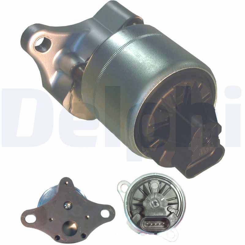 DELPHI EG10006-12B1 EGR Valve
