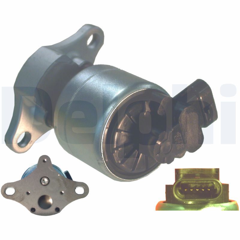 DELPHI EG10007-12B1 EGR Valve