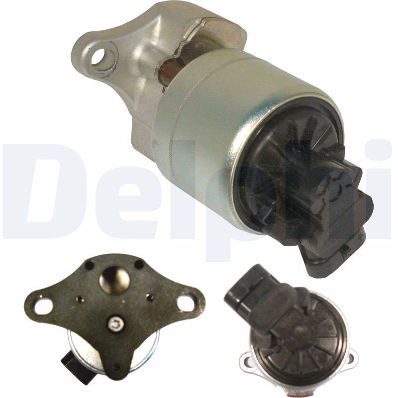 DELPHI EG10256-12B1 EGR Valve